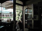DSCN0167_thumb.jpg
